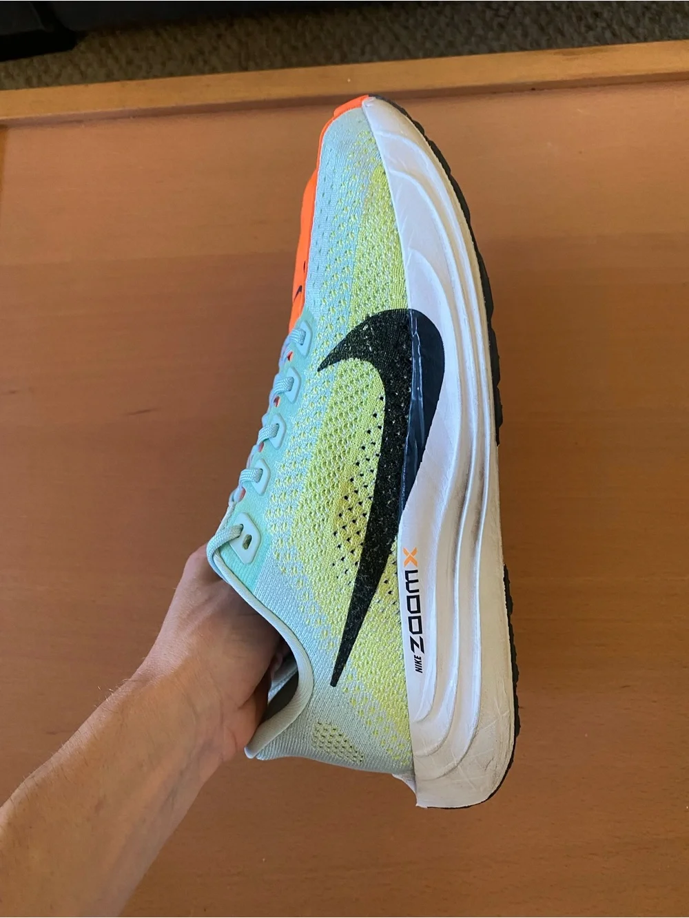 Nike Pegasus Plus